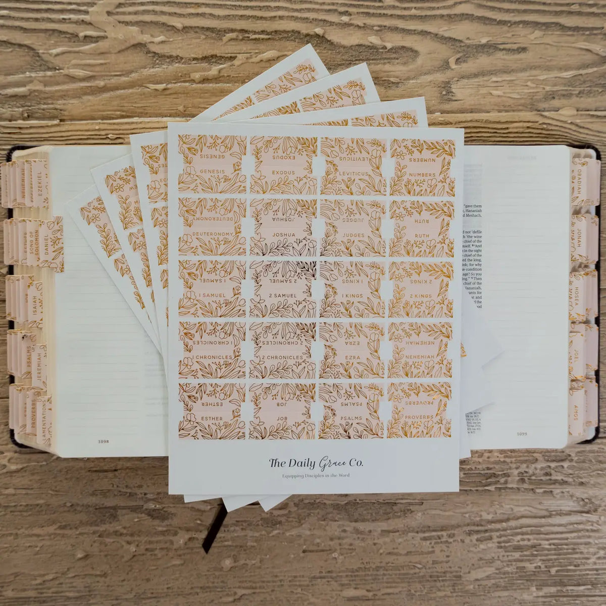 Bible Tabs