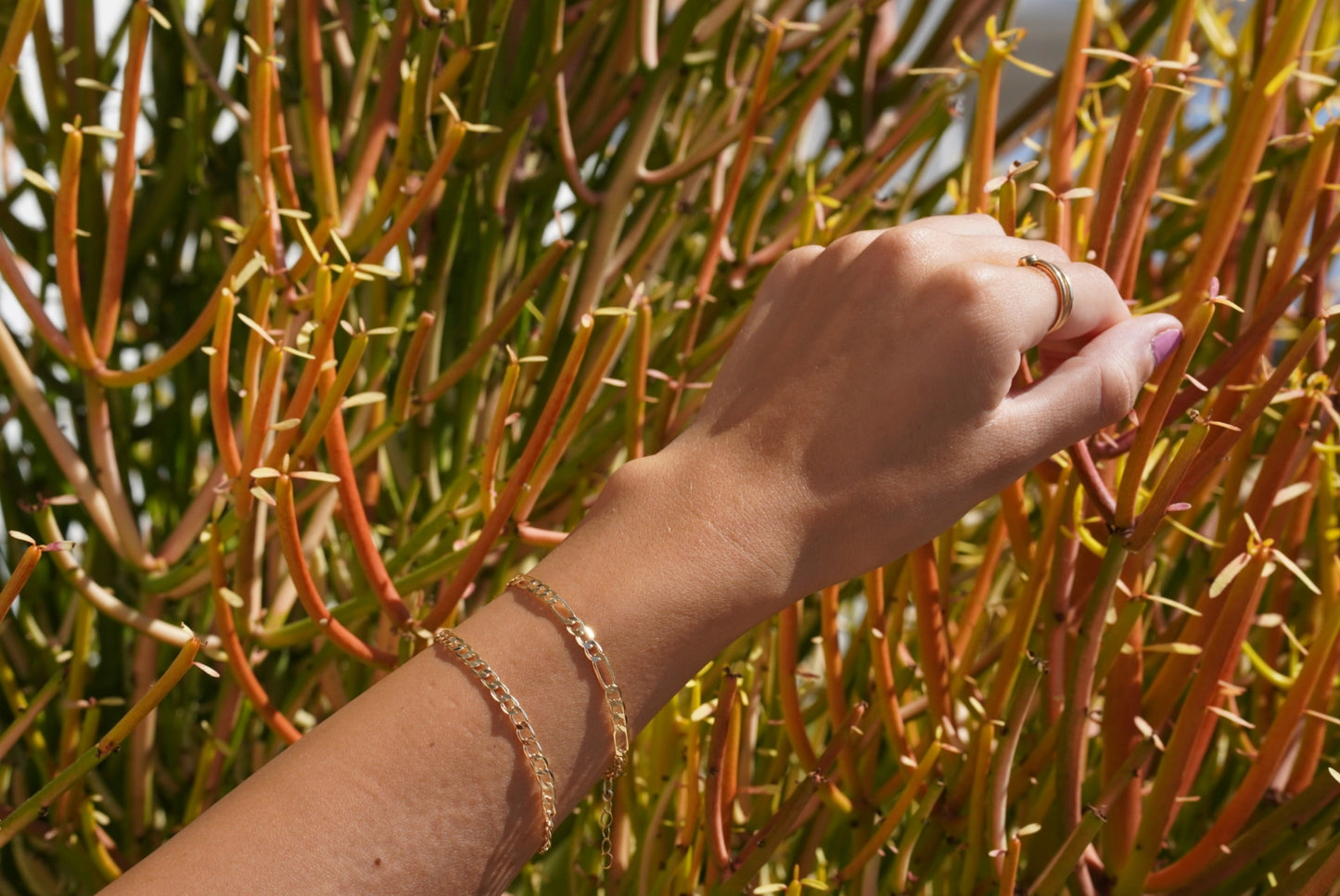 Large Figaro Bracelet