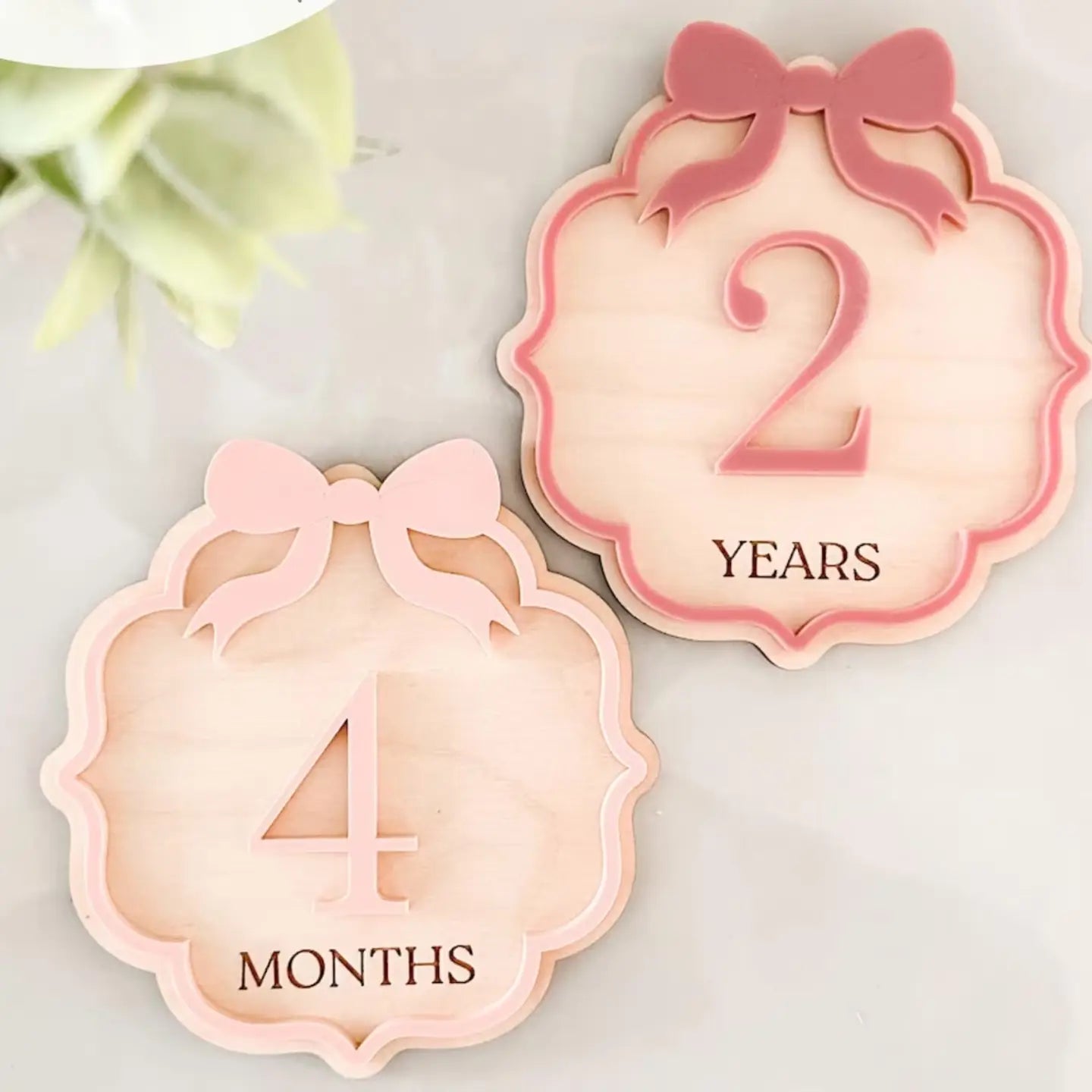 Interchangable Wood Baby Monthly Milestone Sign