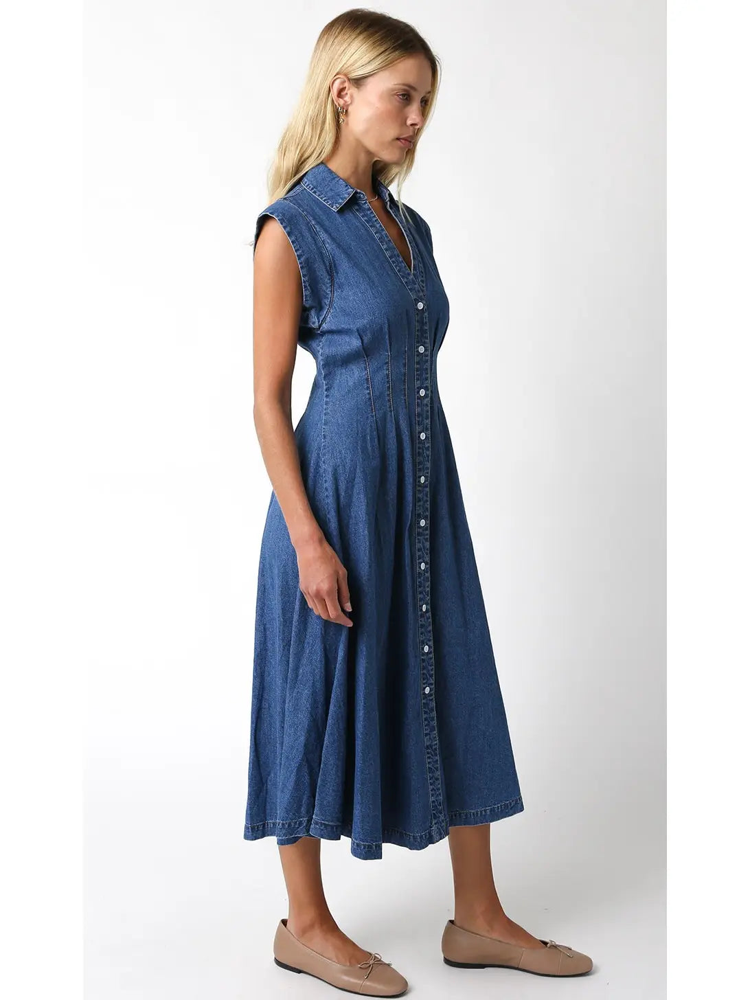 Blair Denim Dress