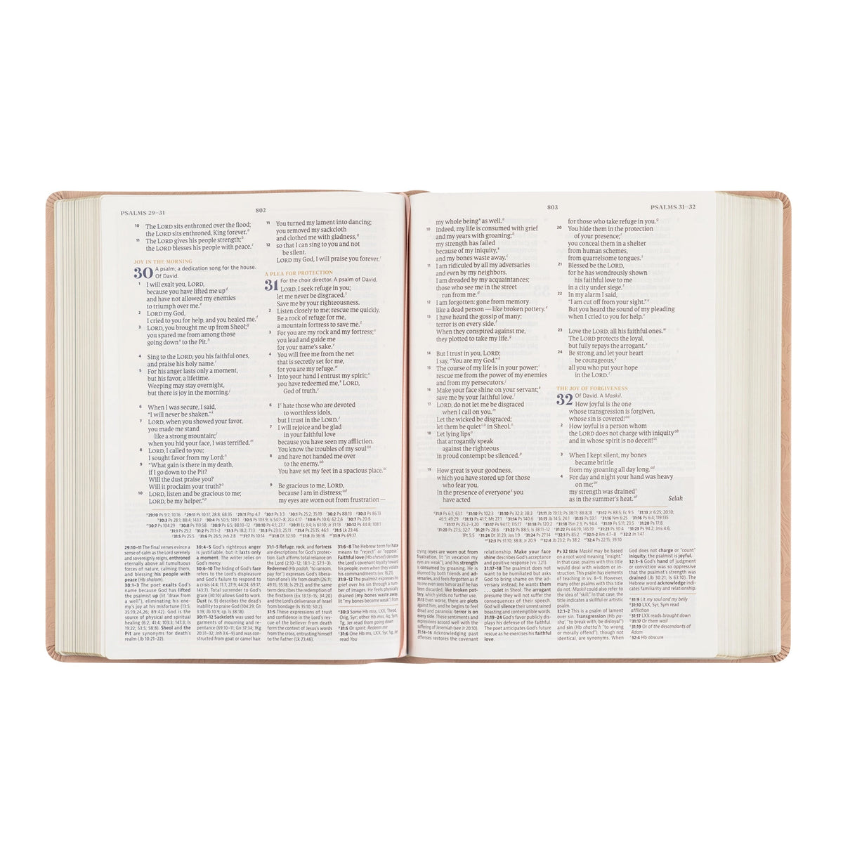 CSB Women's Study Bible- Sonora Theme