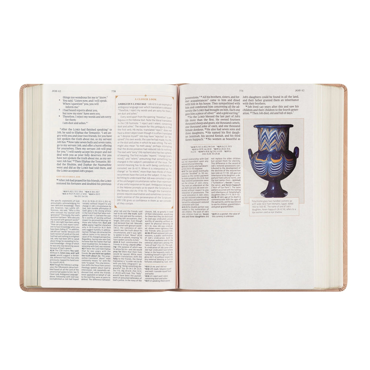 CSB Women's Study Bible- Sonora Theme