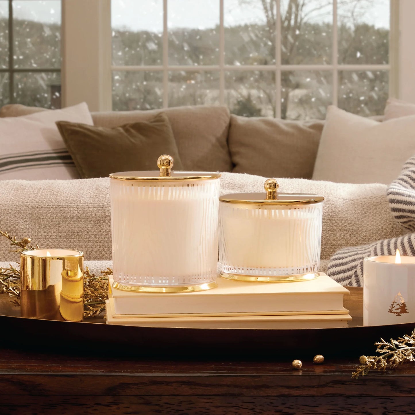 Frasier Fir Gilded Medium Poured Candle, Frosted Wood Grain