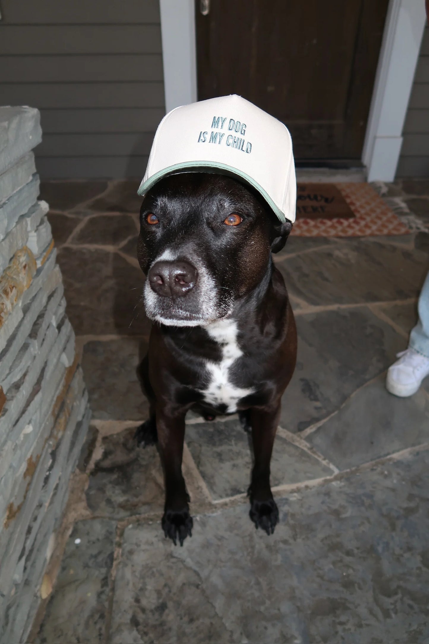 My Dog Is My Child Snap Back