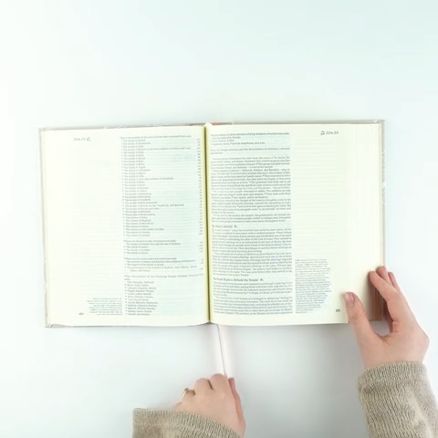 NLT Notetaking Bible- Cordova Theme