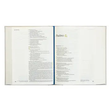 NLT notetaking bible: adelaide theme