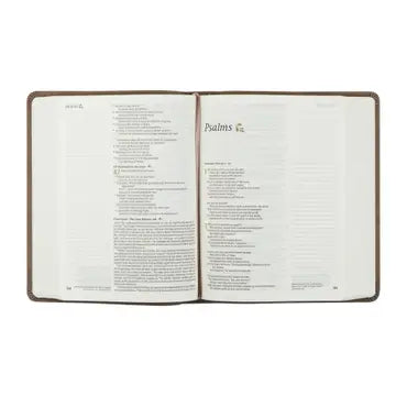 NLT Notetaking Bible: Marlo Theme