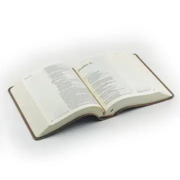 NLT Notetaking Bible: Marlo Theme