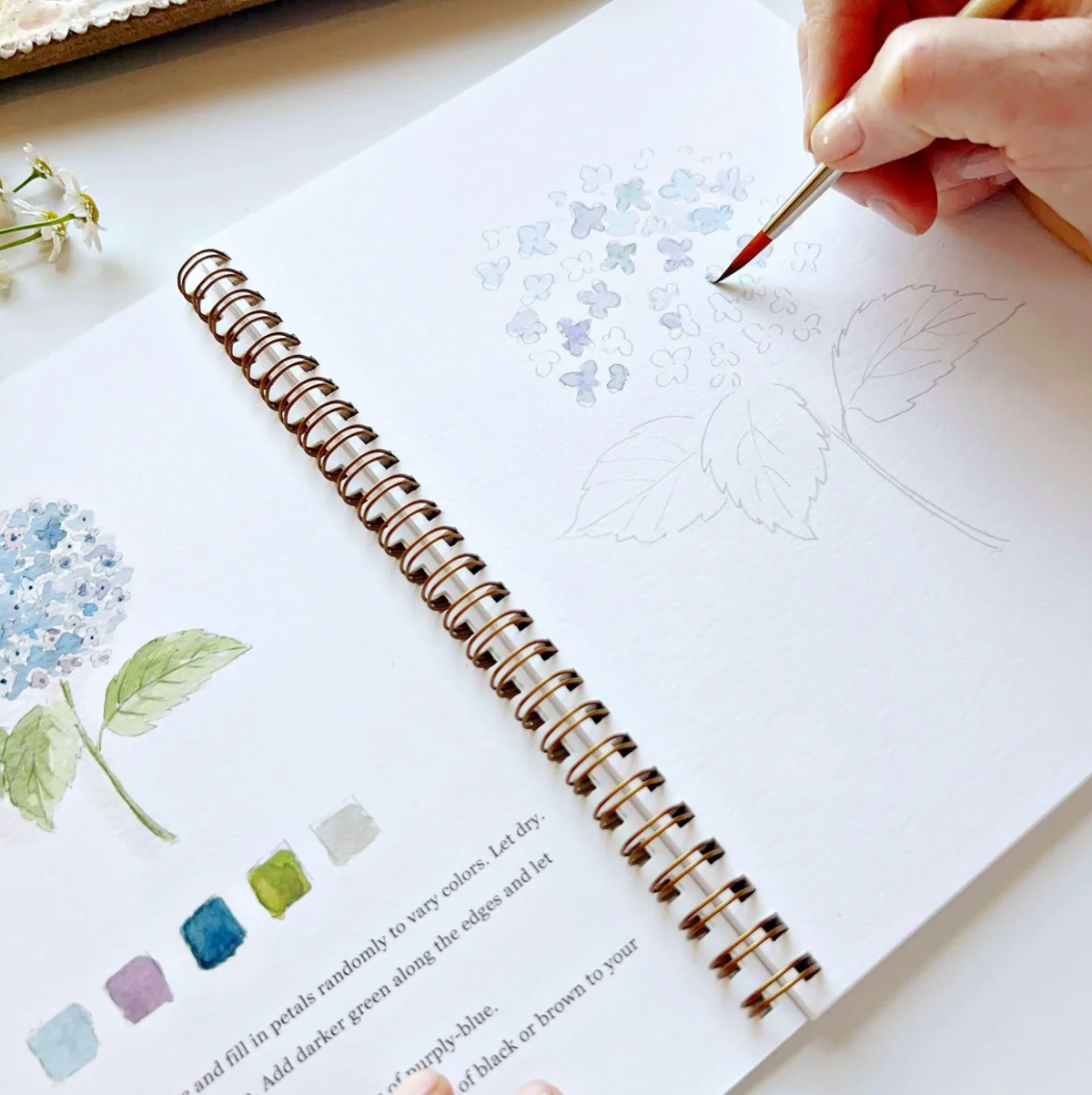 Watercolor Workbook