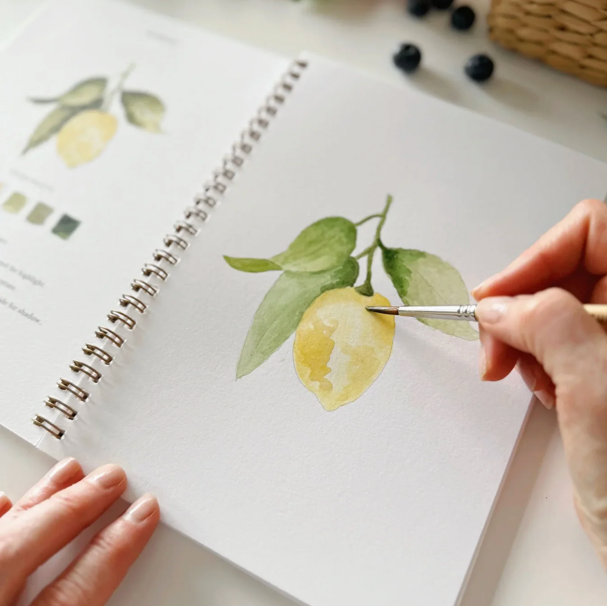 Watercolor Workbook