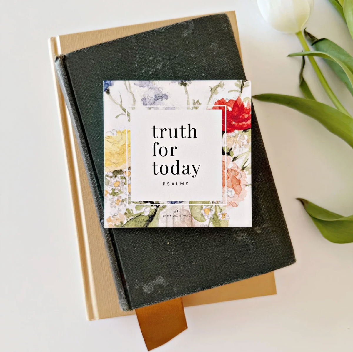 Truth For Today Cards
