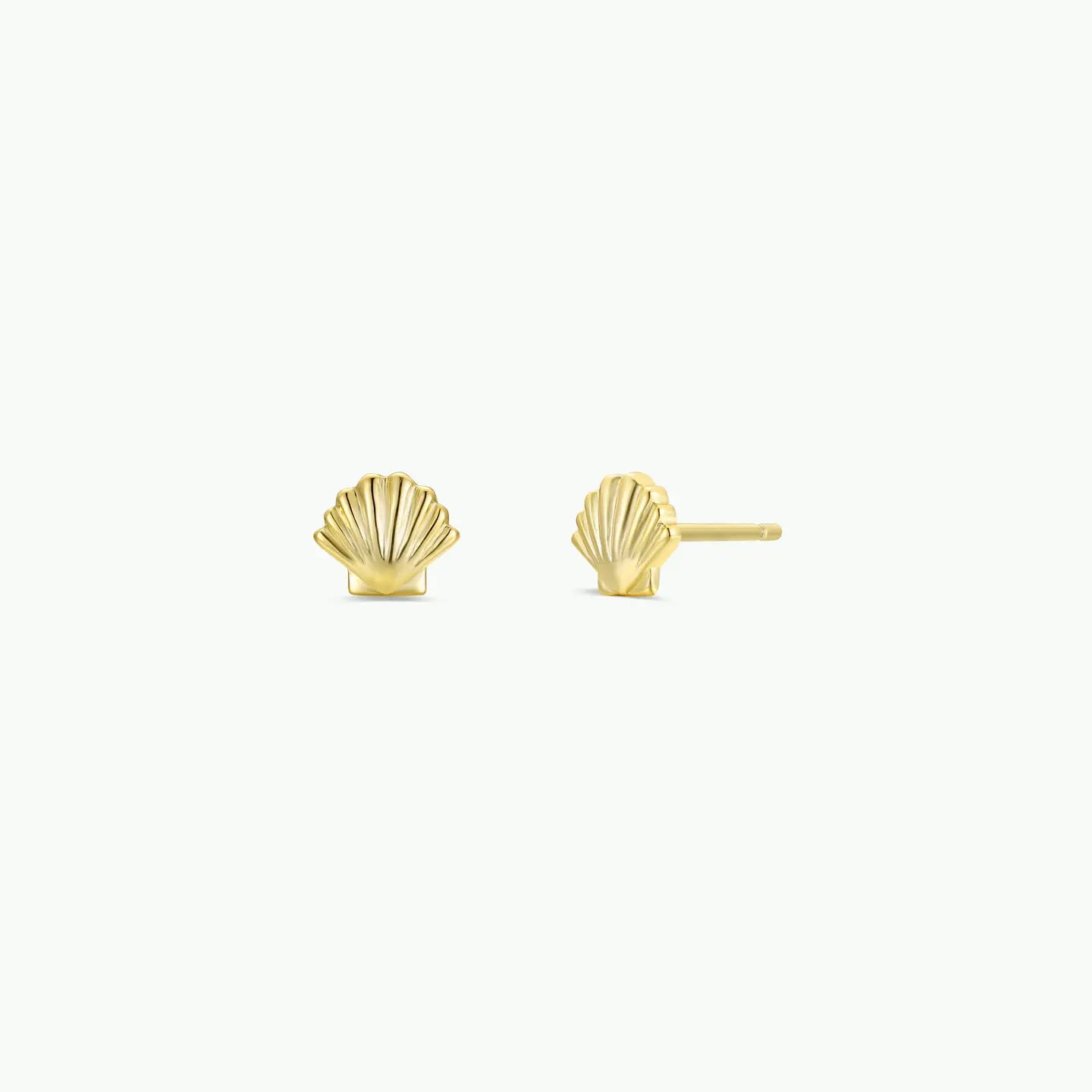 Seashell Studs