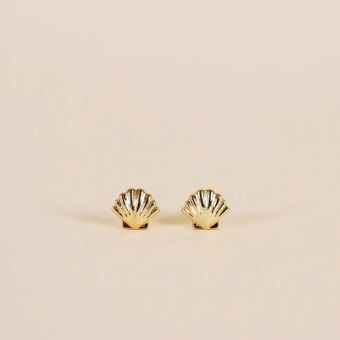 Seashell Studs