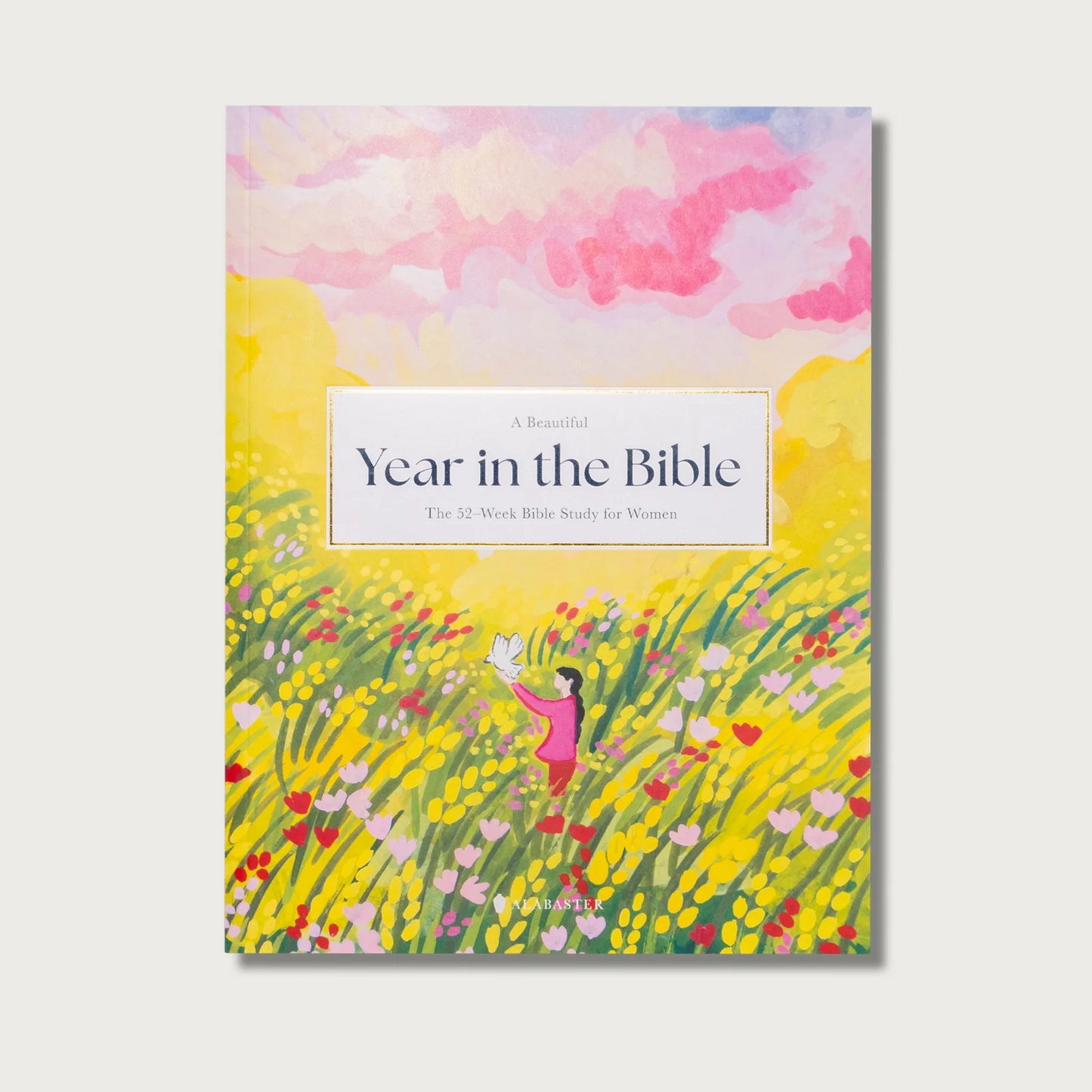 Year In The Bible