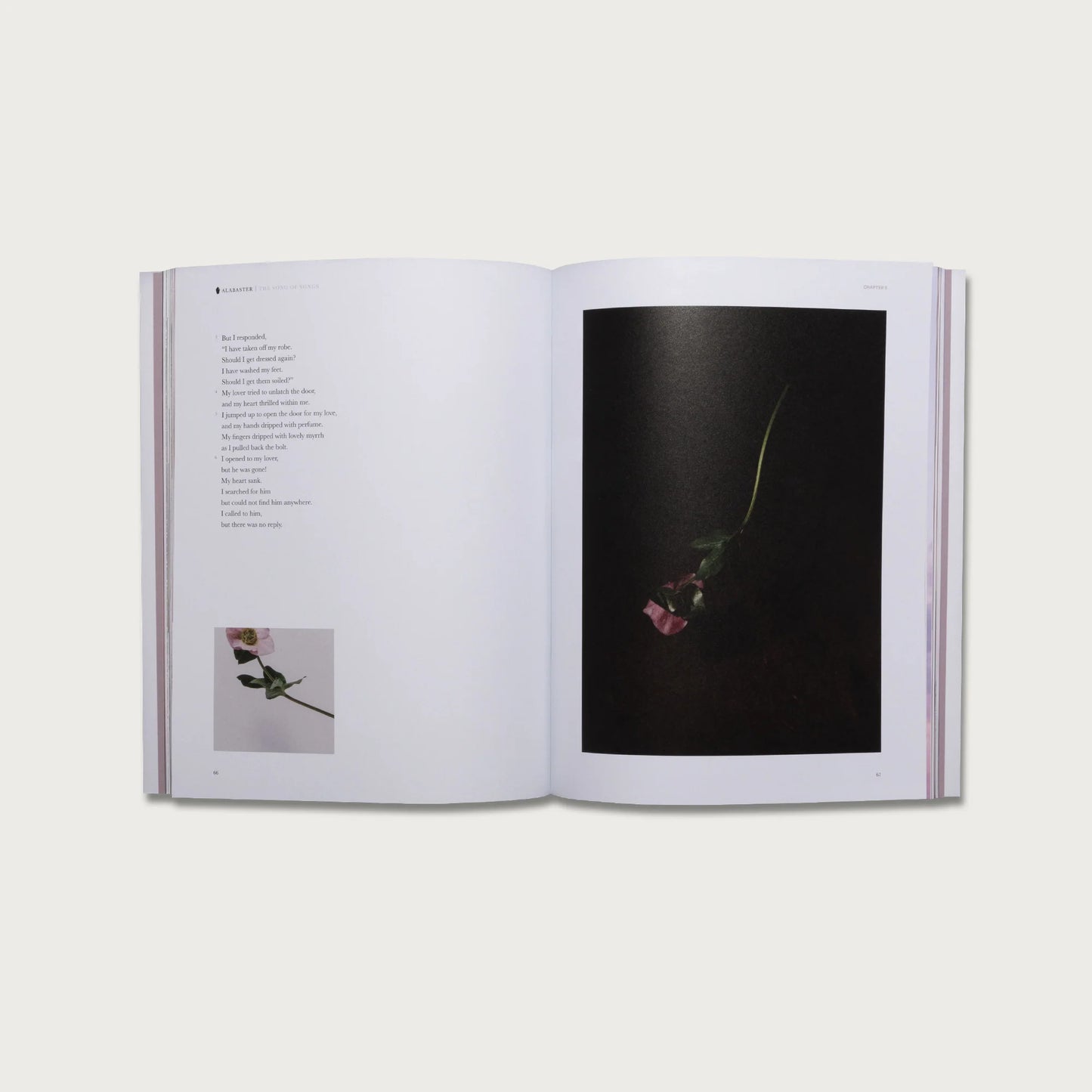 The Song of Songs (NLT)